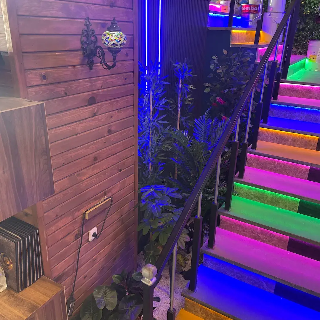 Yeşilçam Cafe Yapay Dikey Bahçe | Botanik proje listesi kapak görseli